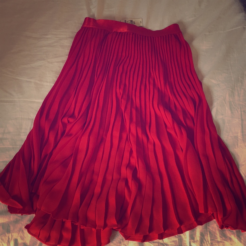 Express Skirt